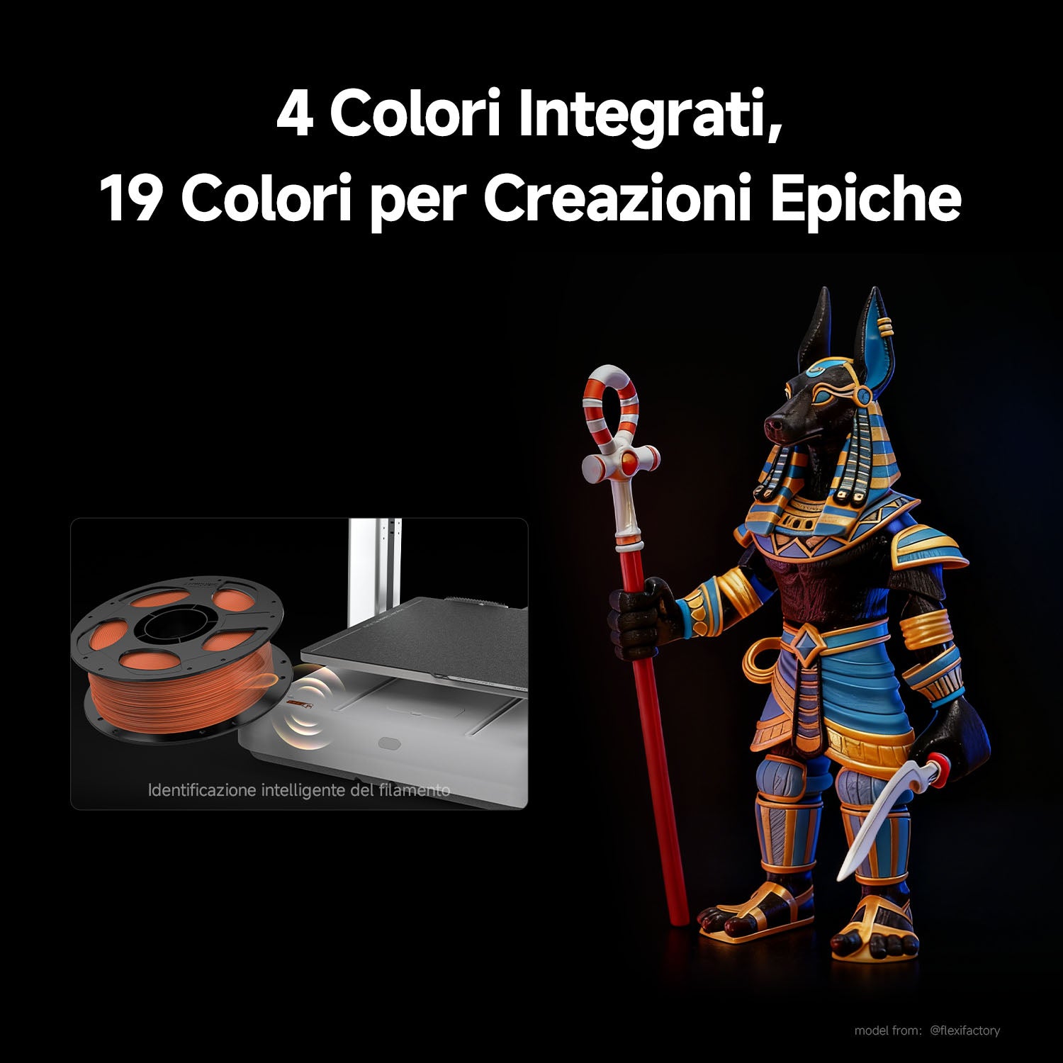 Dettaglio ANY011