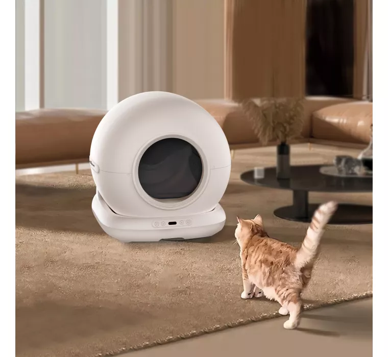 Monitoraggio attività gatto