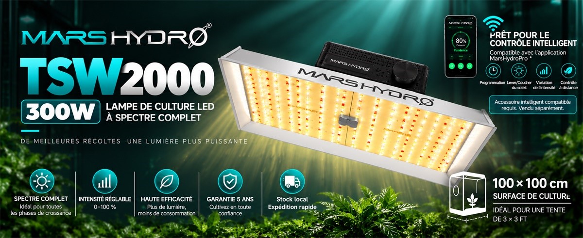 Mars Hydro TS1000 150W LED Lampe horticole
