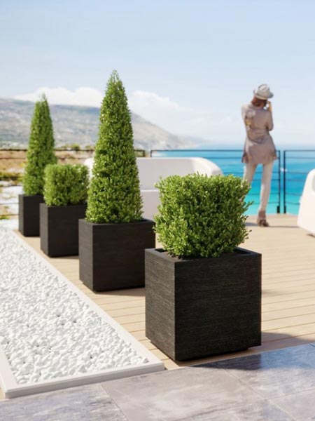 Vases Véca