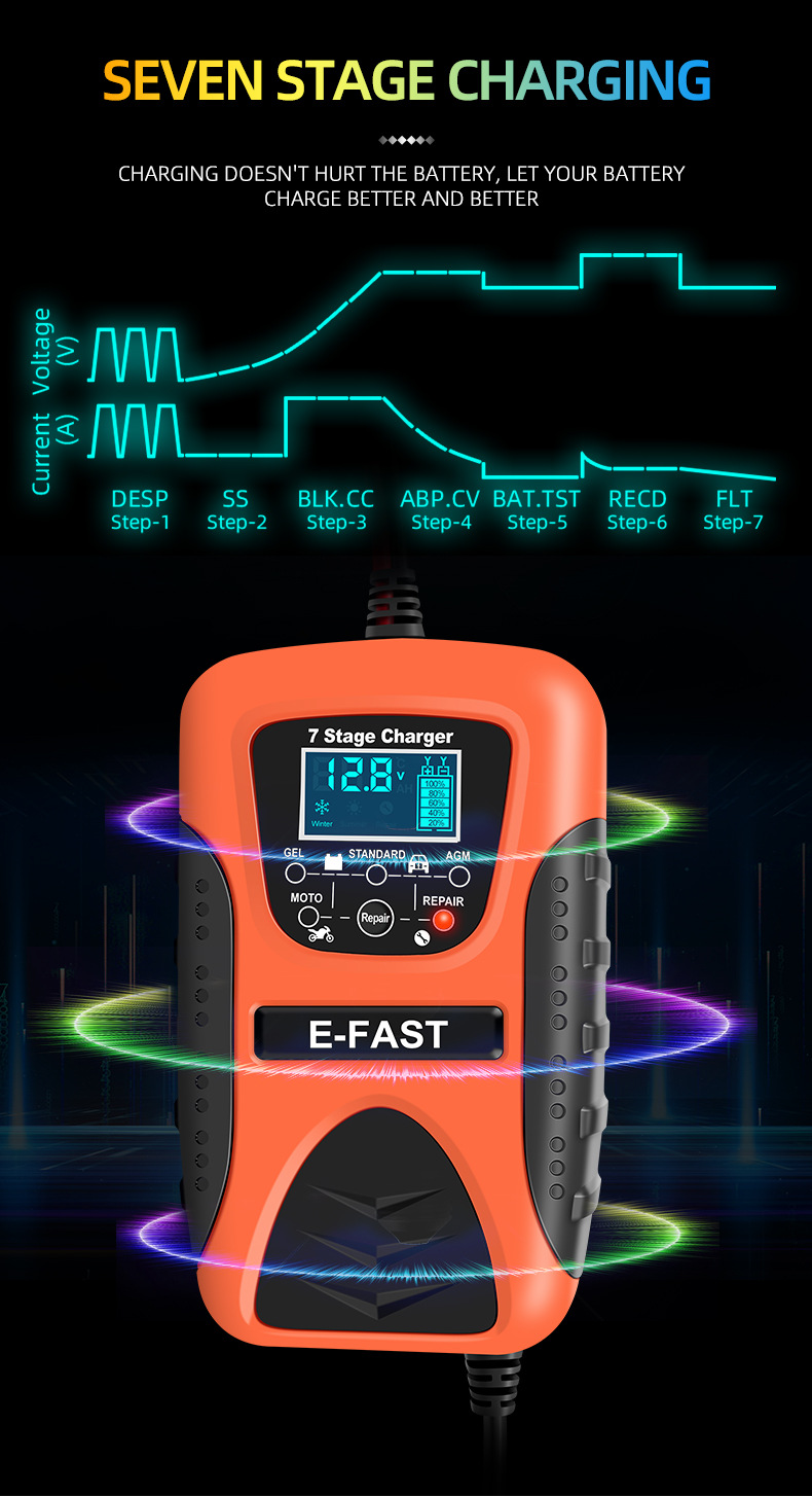 Chargeur de batterie SJLERST
