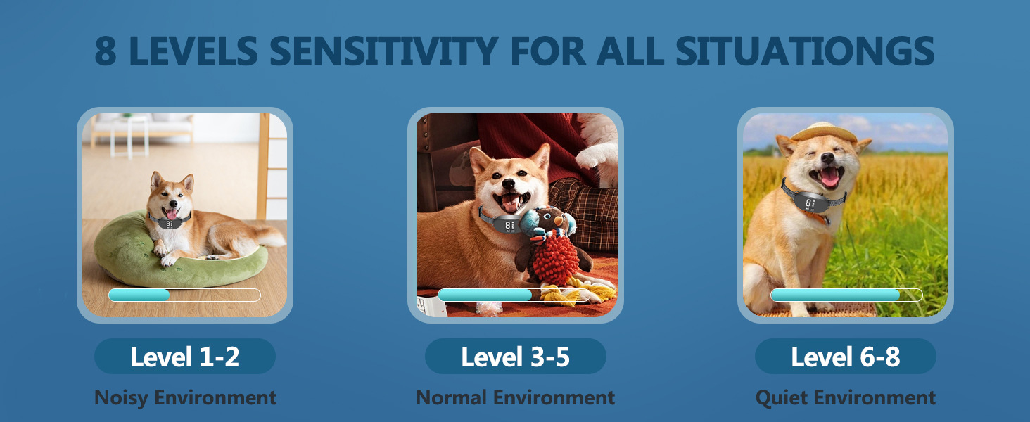 Dispositif anti-aboiement 5