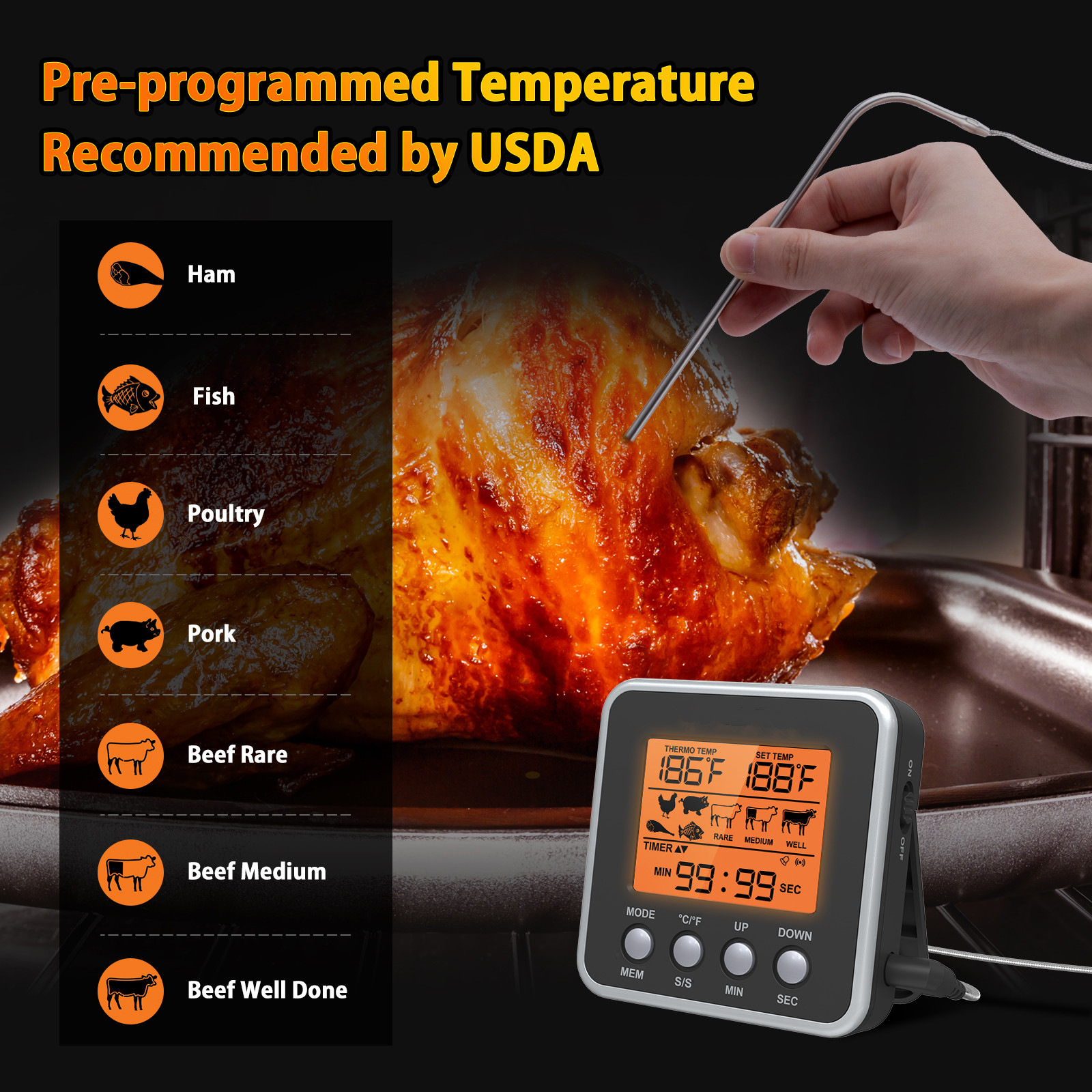 Thermomètre à viande