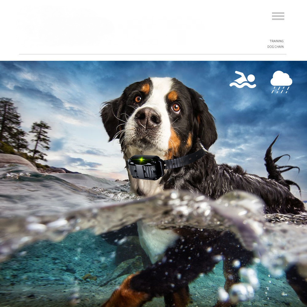 Collare Da Addestramento Per Cani Ricaricabile E Impermeabile Con Distanza Di 800 M, Scossa Elettrica, Suono Nero B -Cibi per cani in Italia AAHKMJXYDAFdJAOAIMEbOAchMsjc3QZBtjSFHA9dqEpXPSB65XDJrhSVyThNg87jDURivsIQioVkU4HdlEVCOvmJqupLSMDIfZUAQ v3XTYZw6M3ogfI1jUAajn26fV0yuHPjGSyz4iMxQzlIM o0kuOP4rSq5o GOa8vb lh87g6srgS