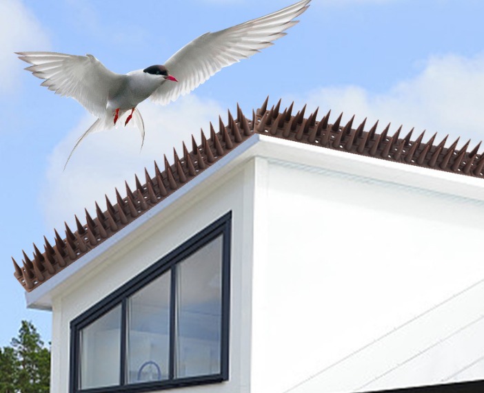  /></p>
<p>Matériau : les ongles anti-pigeon sont fabriqués en plastique polypropylène respectueux de l'environnement, durables et traités aux UV pour résister à la lumière du soleil sans se fissurer</p>
<p>Taille des ongles à l'épreuve des pigeons: une boîte de 12 ongles à l'épreuve des oiseaux, chacun de 45 cm de long, la longueur totale peut atteindre 5,4 m, peut être divisée en 4 parties pour empêcher efficacement les pigeons</p>
<p>Idéal pour : les épines d'oiseaux peuvent être placées sur les clôtures, les hangars, les toits, les terrasses, les portes, les murs de bordure pour vous aider à chasser les intrus et les animaux.</p>
<p>Facile à installer : utilisez simplement des clous ou des attaches de câble pour le maintenir là où vous le placez (chaque clou de colombe a un trou de vis, les attaches de câble ne sont pas incluses)</p>
<p><img src=