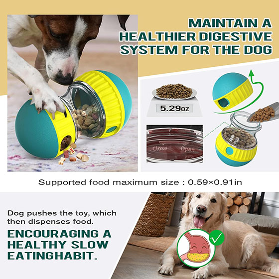 Jouet interactif pour chien
