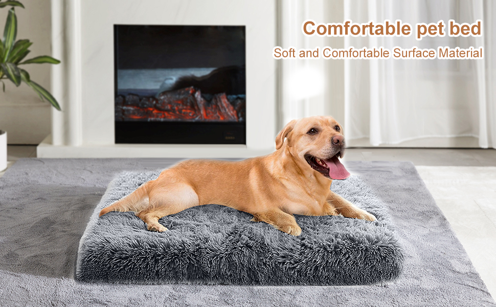 Lit pour Chien Coussin Chien Chat Dehoussable