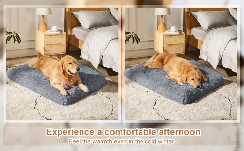 Lit pour Chien Coussin Chien Chat Dehoussable