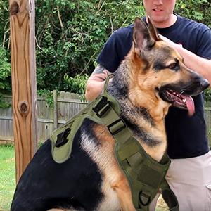 Harnais Chien Harnais Tactiques pour Chien-Vert armée