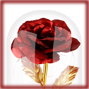 Rose éternelle sous cloche