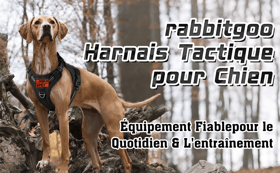 Harnais Chien Anti Traction, Harnais Tactique Chien Réfléchissant Réglable avec Poignée et Anneaux pour Entraînement Chasse Noir