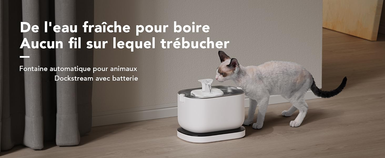 PETLIBRO fontaine a eau chat