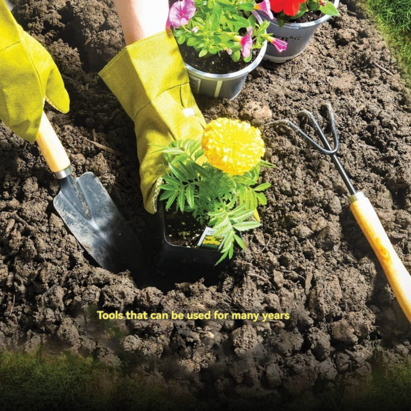 Utilisation dans le jardin - taille et plantation