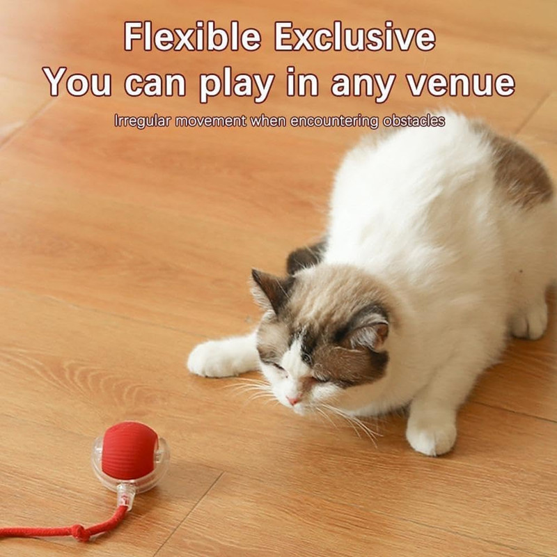 Balle interactive pour chat