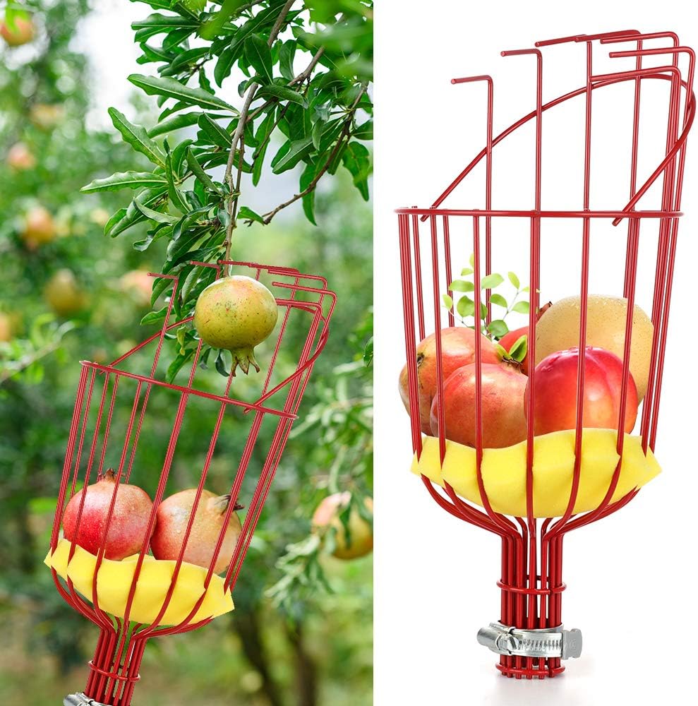 Outil De Cueillette De Fruits, Cueilleur De Fruits De 2,4m, Outil De