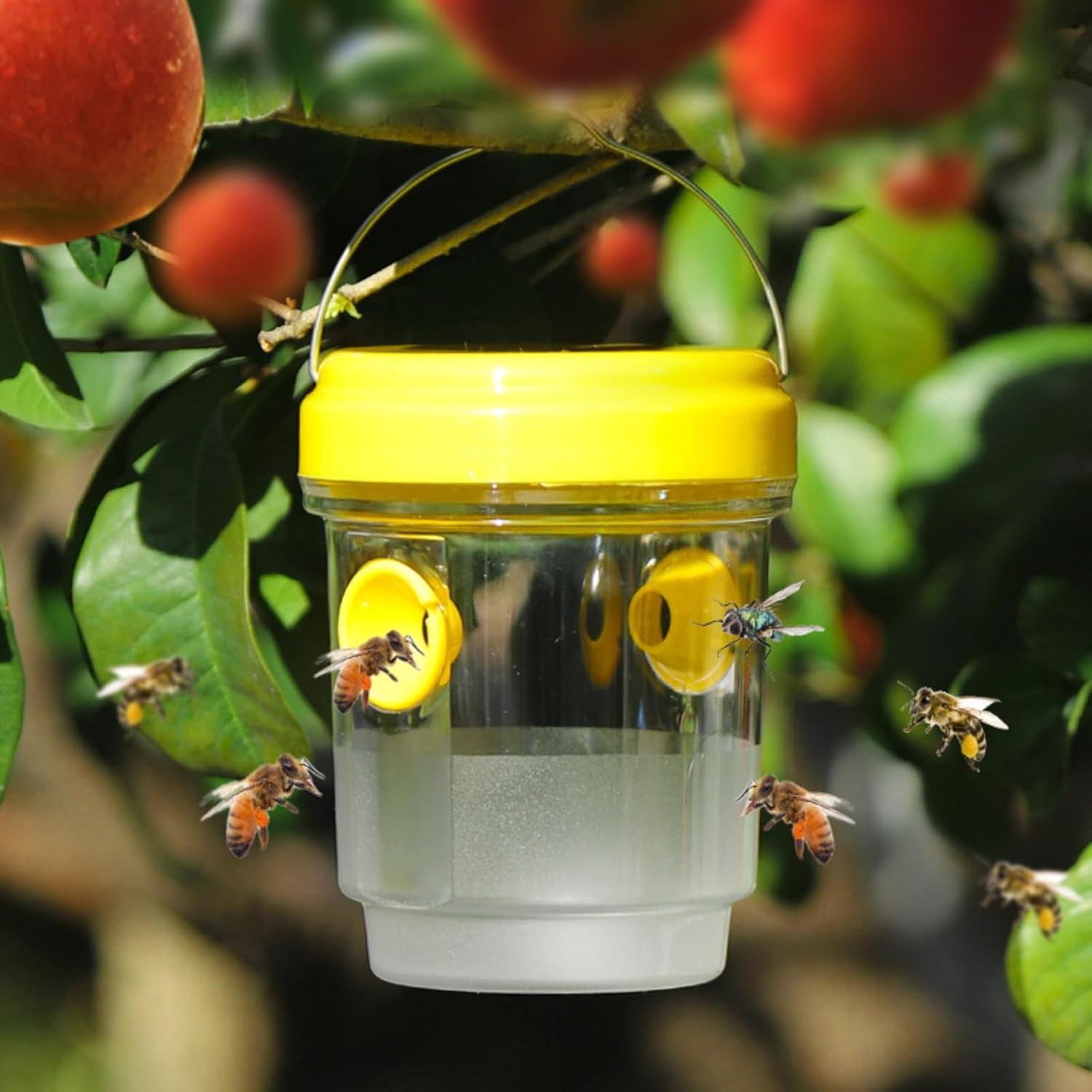 Piège à Guêpes Et Frelons Réutilisable (lot De 2) - Sans Produits Chimiques - Pour Jardin, Balcon, Camping - Efficace Contre Frelons Asiatiques - 5