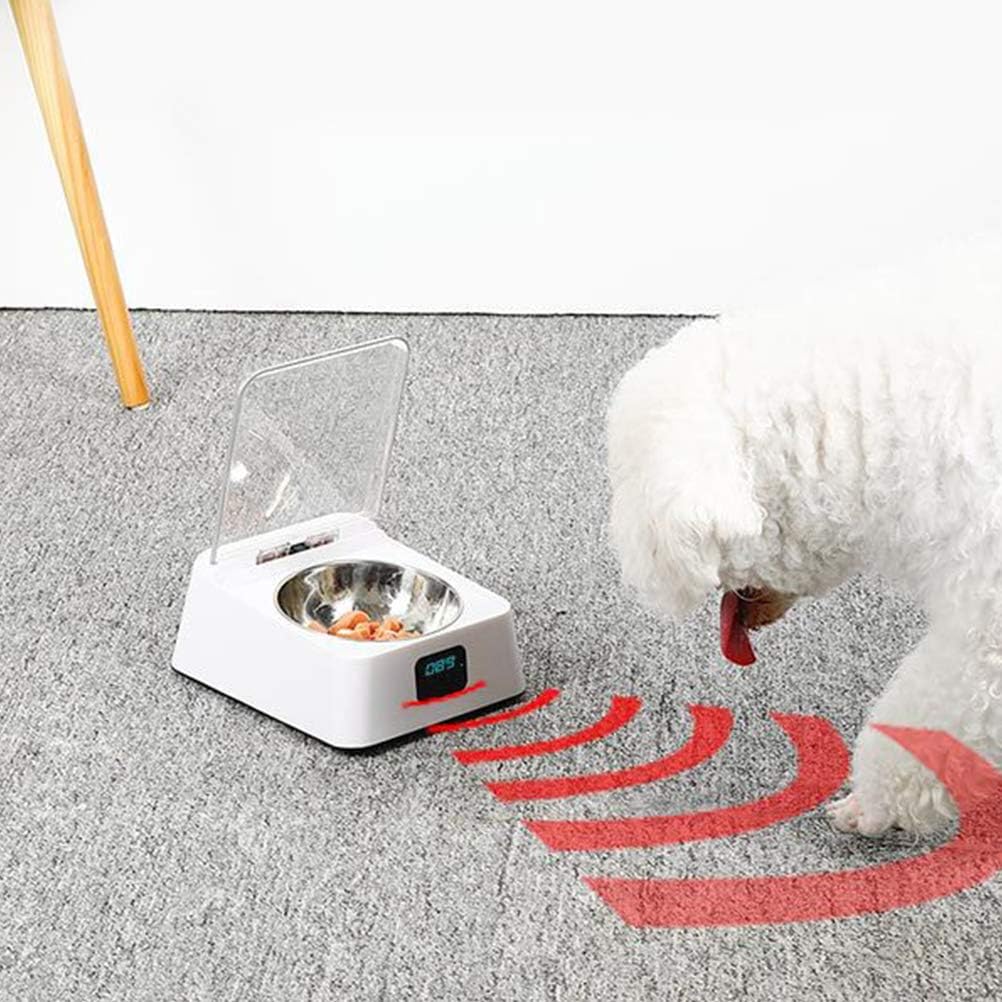 Gamelle à Capteur Infrarouge 330Ml, Acier Inoxydable, Couvercle à Ouverture/Fermeture Automatique, Avec Câble De Chargement Usb, 3-5 Minutes De Repos, Convient Aux Chats, Chiens -Promos Patto Chou Boutique AAHKMJXYDAFdJAOAIMEbOAchMsjc3QZBtjSFHA9dqEpXPSB65XDJrhSVyThNg87jDURivsIQioVkU4HdlEVCOvmJqupLSMDIfZUAQ v3XTYZwxYwvLYpRNbL B2xWc WZQ hJ6vRmqFJ5Ws6R5UhYuRgKHqJ2G54jlOc4wcvvd2W