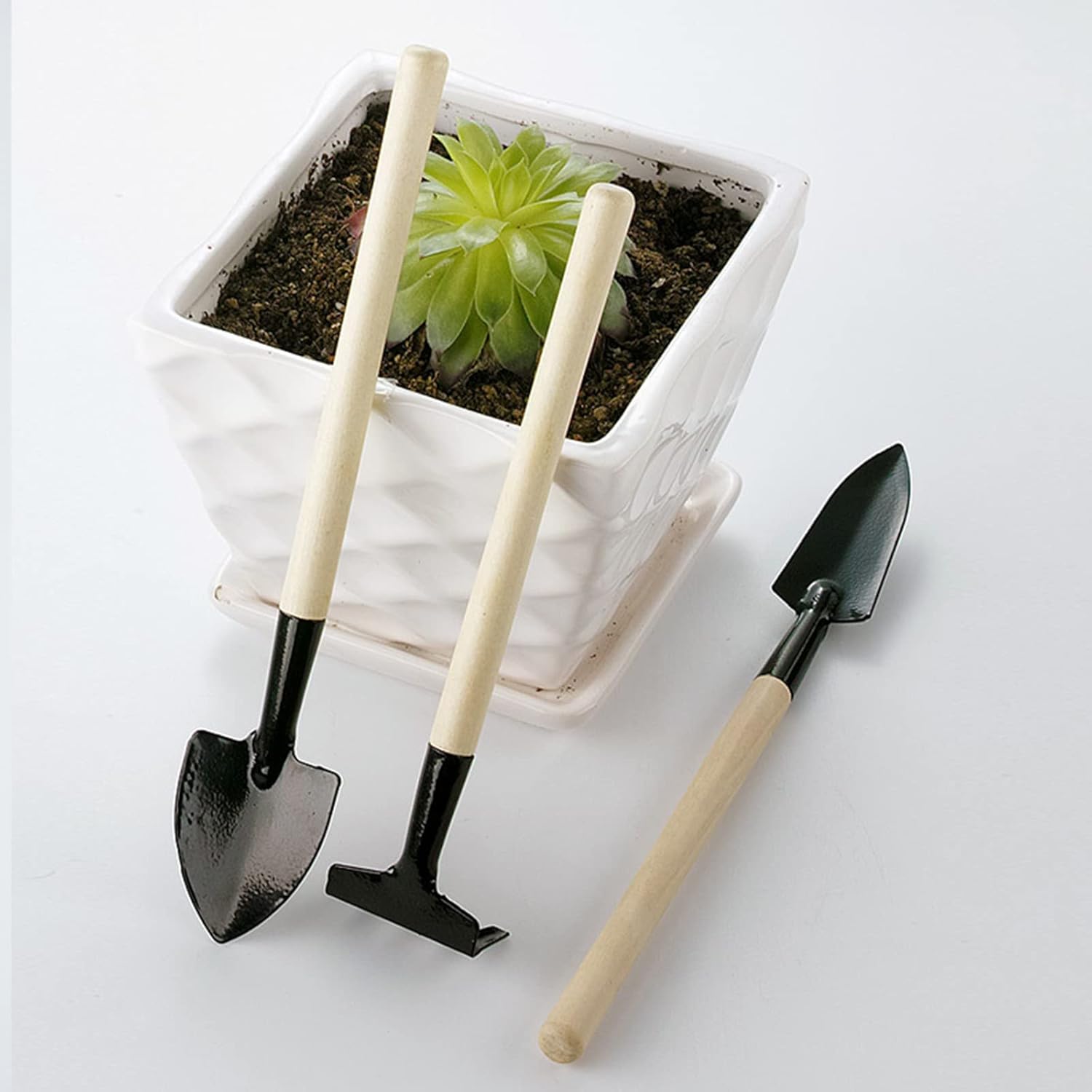 Best Garden Shears & Pruning Tools - Tweezer World
