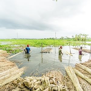 Naturjute