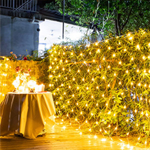 led guirlande lumineuse