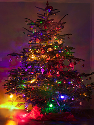 Fairy Light String