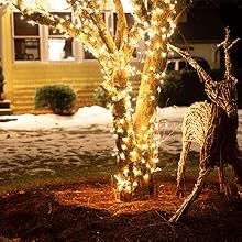 String fairy lights