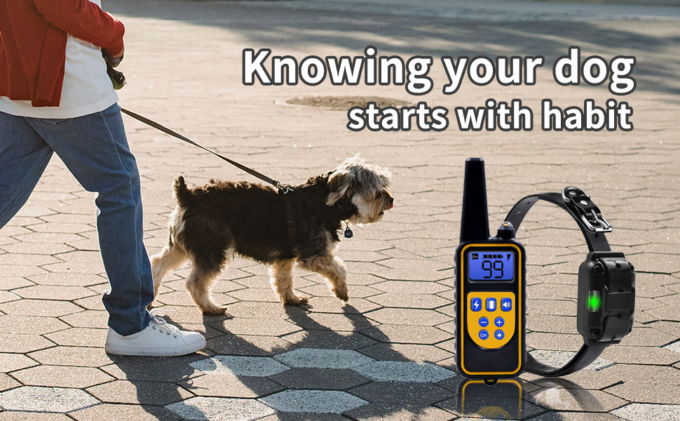 Collares de adiestramiento para perros