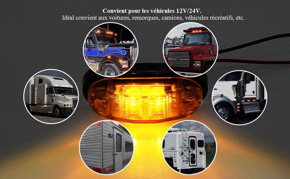 Apto para vehículos de 12 V/24 V