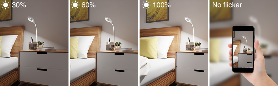 Desk Lamp