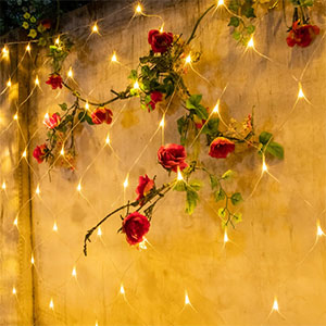 led guirlande lumineuse