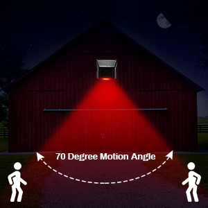 Motion Area