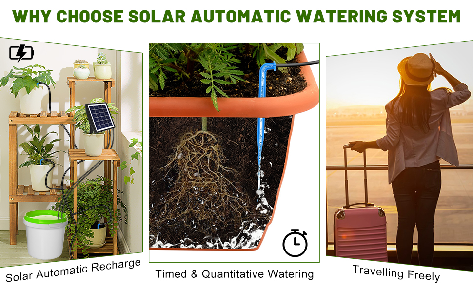 Système d'irrigation solaire Automatique