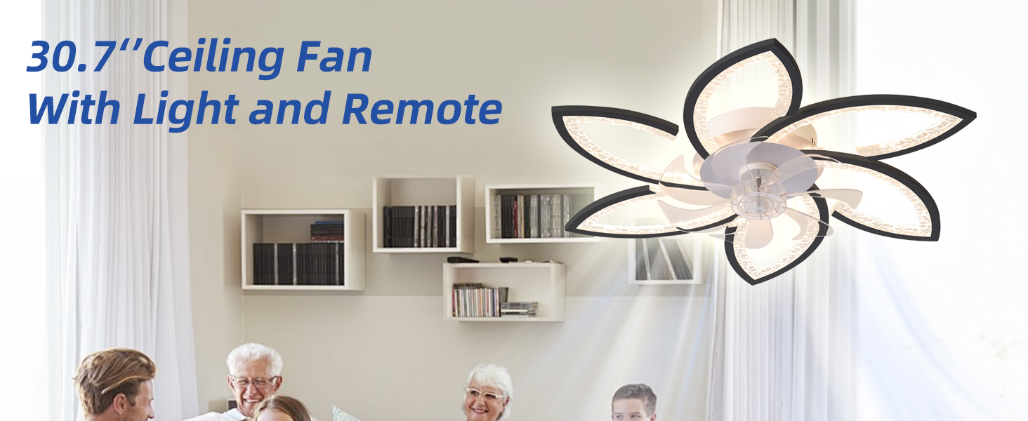 ceiling fan