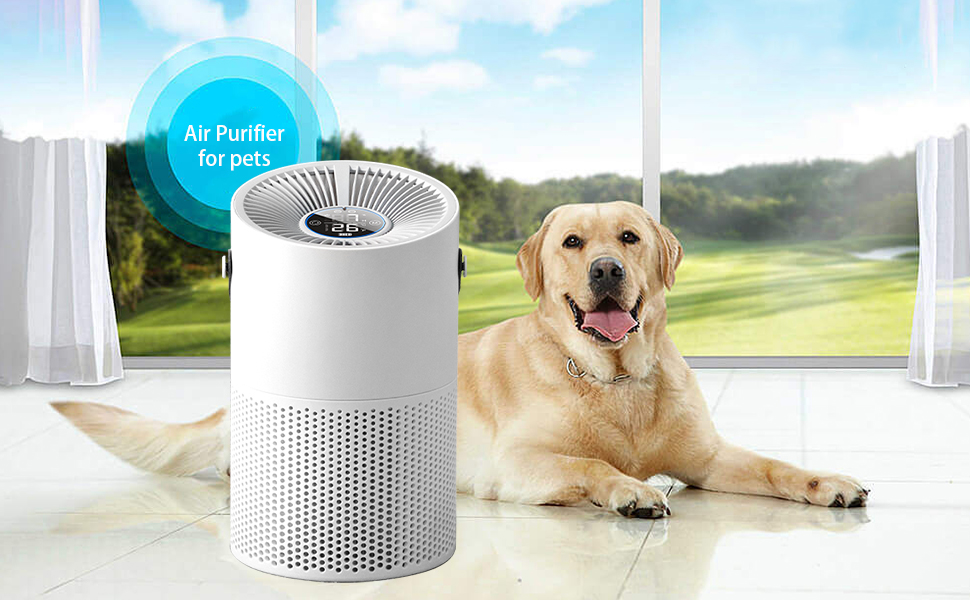 Smart HEPA Air Purifier for Bedroom
