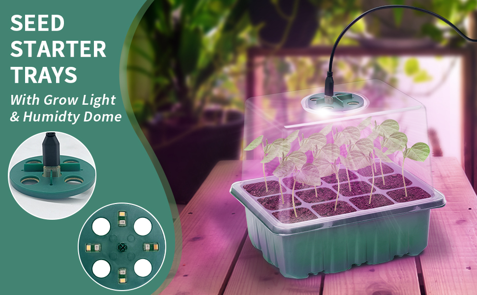 Mini Serre pour Plantes