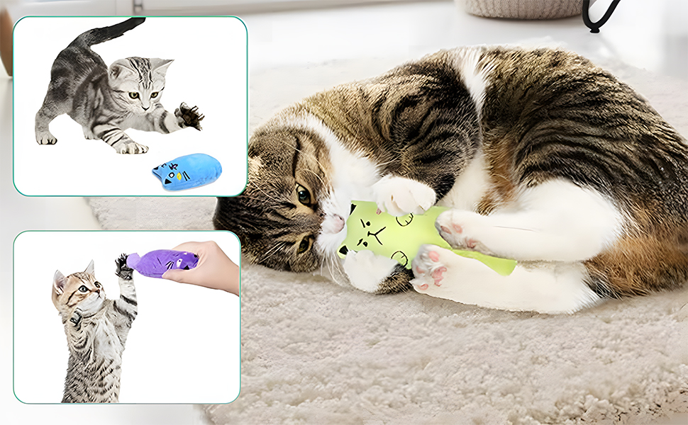 ouet Chat,Jouet pour Chat