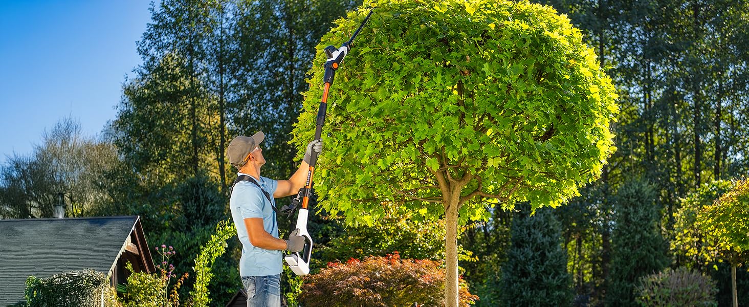 Personne utilisant un outil d'élagage à long manche pour tailler un arbre topiaire rond et bien formé dans un jardin avec d'autres arbres visibles