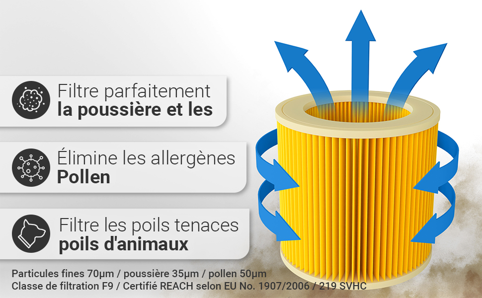 Illustration du filtre à air avec des flèches indiquant le flux d'air. Le texte en français décrit la filtration de la poussière, des allergènes et des poils d'animaux.