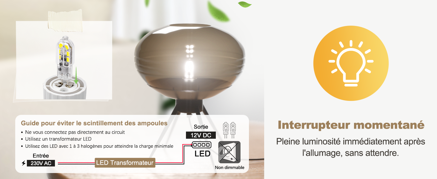 Ampoule G4 LED