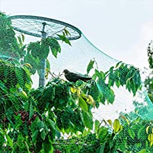 Anti-Vogelnetz