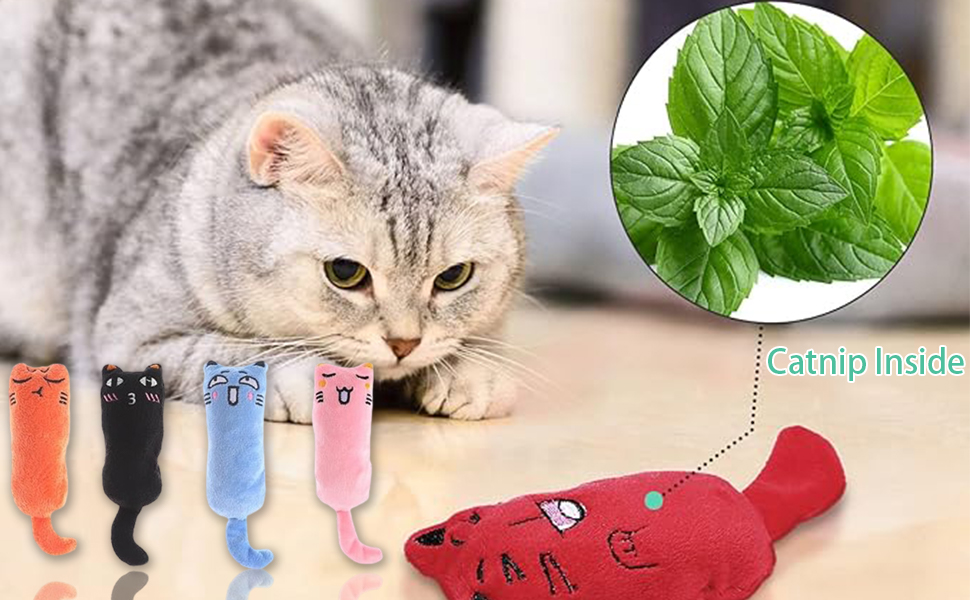 ouet Chat,Jouet pour Chat