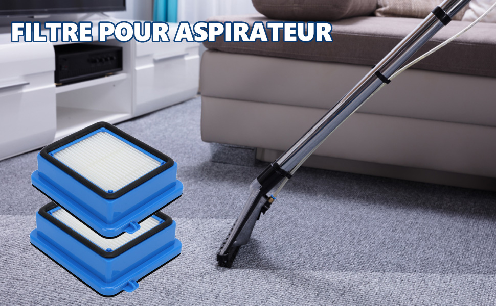 Filtre pour aspirateur Electrolux Q6