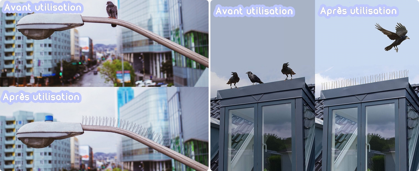 SUFANG Pic Anti-Pigeon En Acier Inoxydable 25cm X 8 Pièces Pique Anti- Oiseaux Pics Pic Anti Pigeon Inoxydable Piques Anti-Oiseaux Pique Anti Pigeon Pour Balcons Jardins De Toit (2M