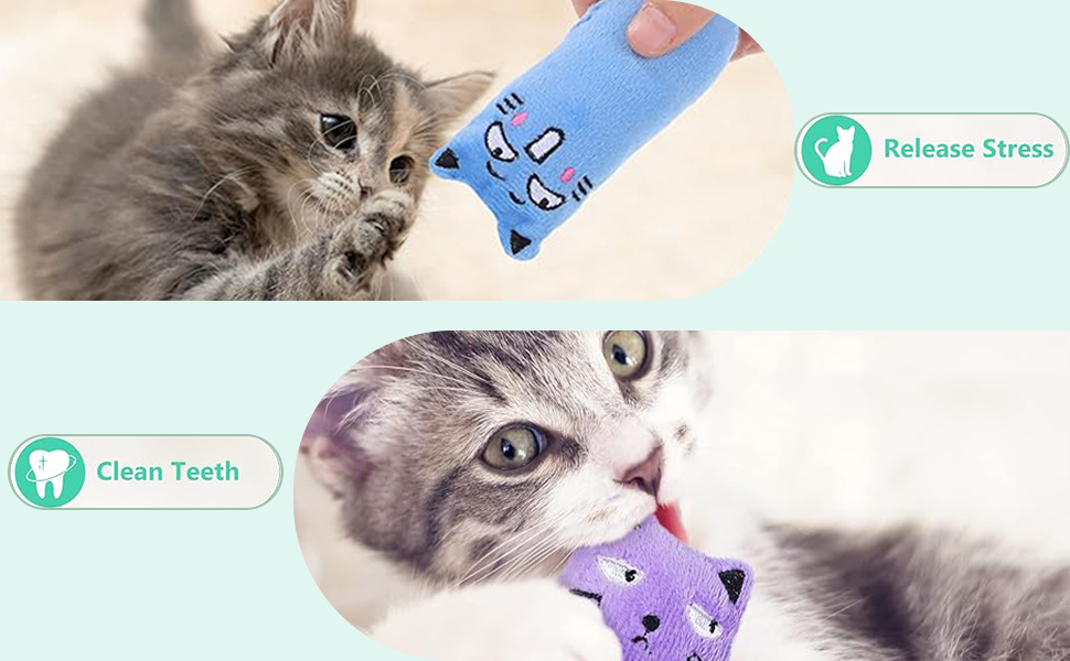 ouet Chat,Jouet pour Chat