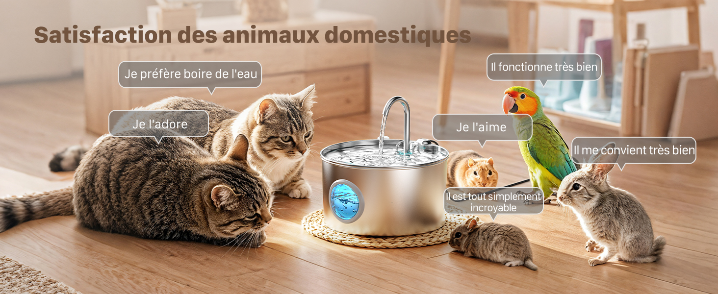 fontaines à eau pour chat fontaine à eau pour chat silencieuse fontaine a eau pour chat 