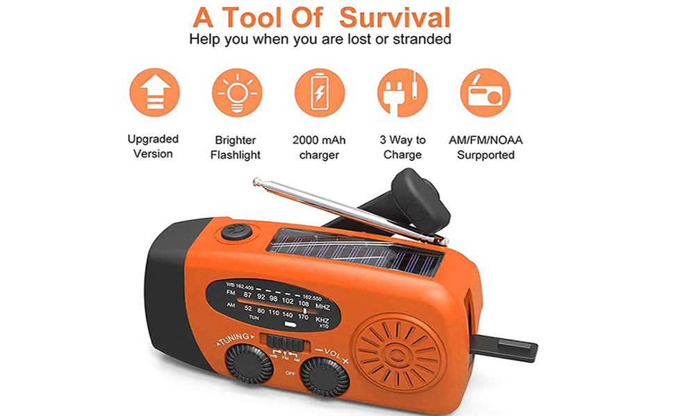 Solar Radio