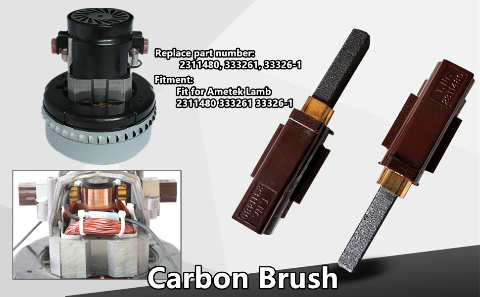 Carbon Brush