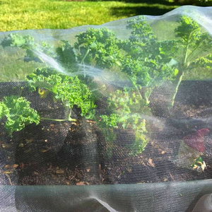  Maille Fine Anti-Insecte en Maille pour la Protection des Plantes