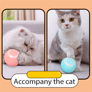 Balle de Jeux Interactive pour Chat
