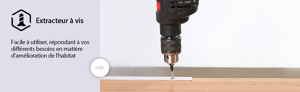 avec embout illustré en train de percer une surface en bois, démontrant ainsi la fonctionnalité d'extraction de vis.
